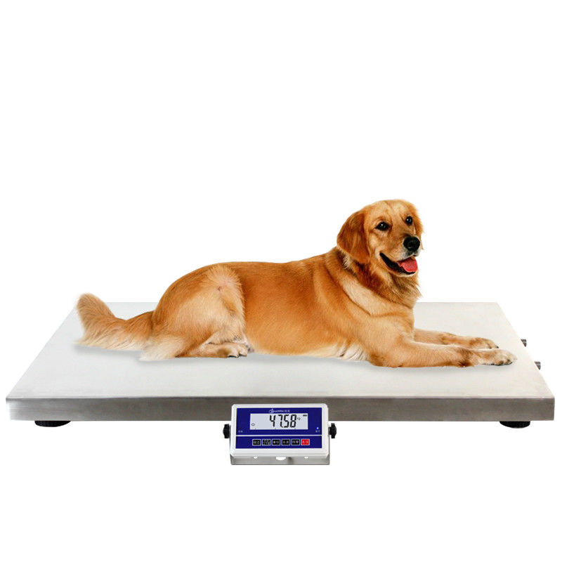 200kg Digital Floor Scale / Electronic Pet Weighing Scale With 4 Adjustable Foot